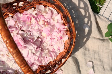 Wicker basket of beautiful tea rose petals on beige fabric, flat lay