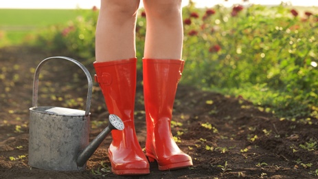 Woman with watering can near rose bushes outdoors, closeup. Gardening tool