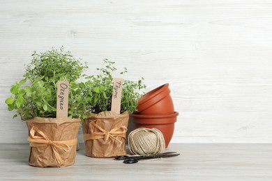 Photo of Different aromatic potted herbs, scissors, pots and woolen yarn on table against white wooden background. Space for text