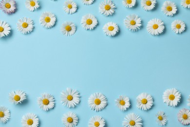 Many beautiful daisy flowers on light blue background, flat lay. Space for text