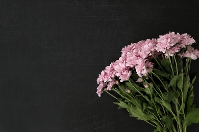 Beautiful pink flowers on blackboard, flat lay with space for text. Happy Teacher's Day