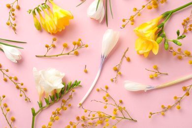 Flat lay composition with spring flowers on pink background