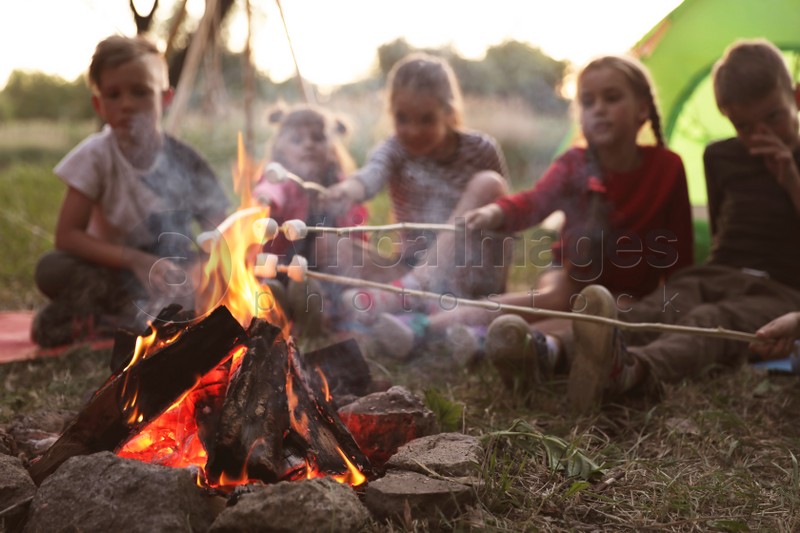 Little children frying marshmallows on bonfire. Summer camp