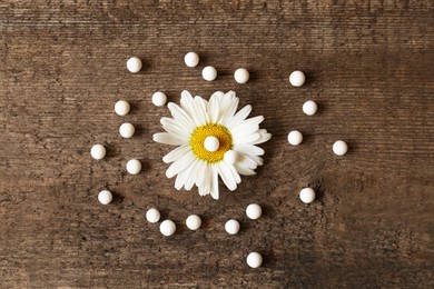 Homeopathic remedy and chamomile flower on wooden background, flat lay