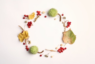 Dried leaves, seeds and berries arranged in shape of wreath on white background, flat lay with space for text. Autumnal aesthetic