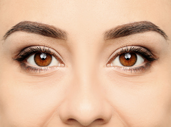 Beautiful woman with perfect eyebrows, closeup view