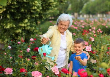 Little boy and his grandmother watering flowers in garden