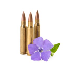 Bullets and beautiful flower on white background. Peace instead of war