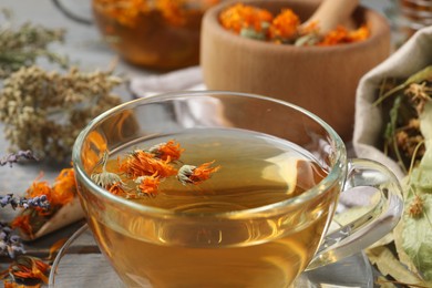 Photo of Freshly brewed tea and dried herbs on grey wooden table, closeup