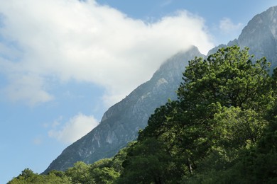 Photo of Big mountains and trees under cloudy sky