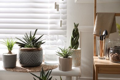 Beautiful potted houseplants near window at home