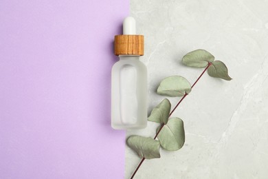 Bottle of face serum and eucalyptus branch on color background, flat lay