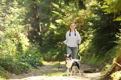 Woman with cute dog and trekking poles hiking in forest