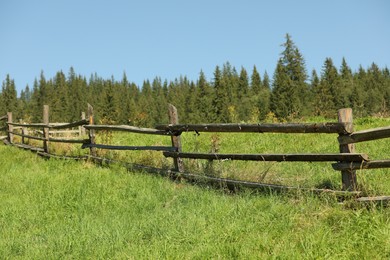 Beautiful view with wooden fence near conifer forest on sunny day