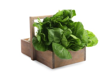 Fresh green pak choy cabbages in wooden crate on white background
