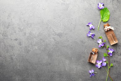 Beautiful wood violets, essential oil and space for text on grey table, flat lay. Spring flowers
