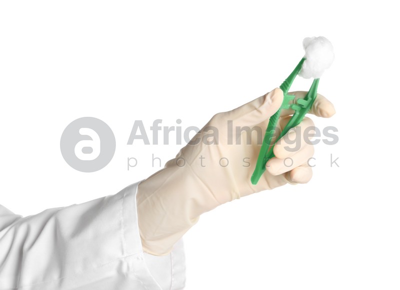 Doctor in medical glove holding disposable forceps with cotton ball on white background