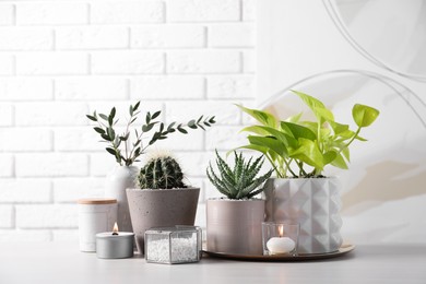 Photo of Beautiful Scindapsus, Aloe and Cactus in pots with decor on grey table against white brick wall. Different house plants