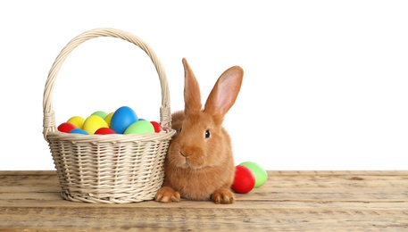 Adorable furry Easter bunny near wicker basket with dyed eggs on wooden table against white background