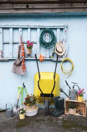 Photo of Beautiful plants, gardening tools and accessories near shed outdoors