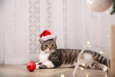 Cute cat wearing Santa hat with Christmas ball in room
