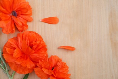 Beautiful bright red poppy flowers on wooden background, flat lay. Space for text