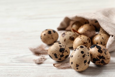 Fresh quail eggs and feathers on white wooden table, closeup. Space for text