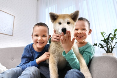 Happy boys with Akita Inu dog on sofa in living room. Little friends