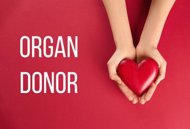 Organ donor. Woman holding heart on red background, top view