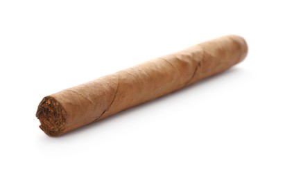 Cigar wrapped in tobacco leaf isolated on white