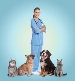 Collage with photos of veterinarian doc and pets on light blue background