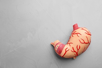 Human stomach model on light grey table, top view. Space for text