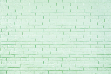 Brick wall as background. Image toned in mint color 