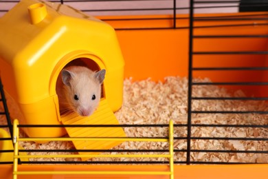 Cute little hamster inside decorative house in open cage