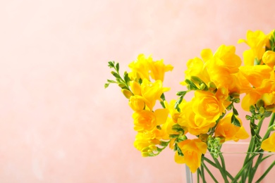 Beautiful blooming yellow freesias in glass vase against pink background. Space for text