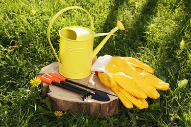 Pair of gloves, gardening tools and watering can on wooden stump among grass outdoors