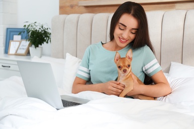 Young woman with chihuahua and laptop in bed. Home office concept
