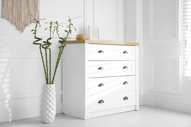 Vase with green bamboo stems near chest of drawers in room. Interior design