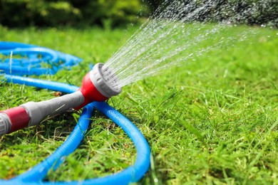 Water spraying from hose on green grass outdoors, closeup