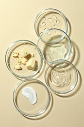 Photo of Many Petri dishes and cosmetic products on beige background, flat lay