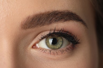 Beautiful woman with perfect eyebrow, closeup. Permanent makeup