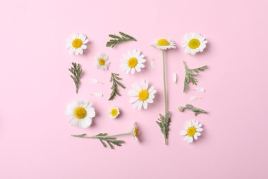 Photo of Flat lay composition with fresh chamomiles on pink background