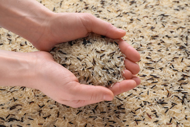 Woman holding mix of brown and polished rice over grains, closeup