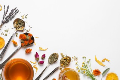 Freshly brewed tea and dried herbs on white background, top view. Space for text