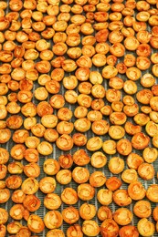 Many halved apricots on metal drying rack, flat lay