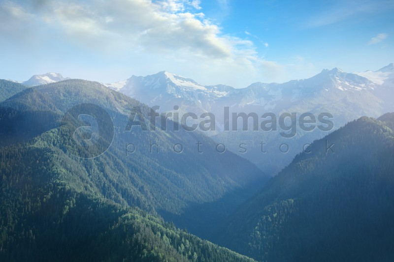 Photo of Aerial view of beautiful landscape with mountain forest on sunny day