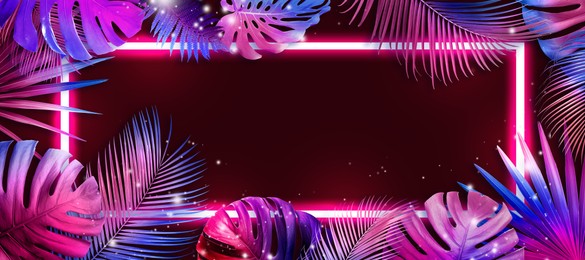 Image of Bright tropical leaves and glowing neon frame on dark background, banner design. Space for text