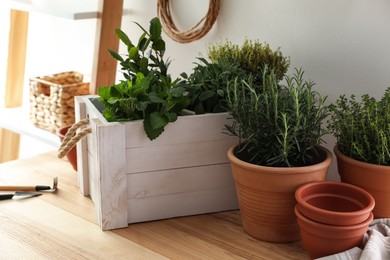 Different aromatic potted herbs on wooden table indoors