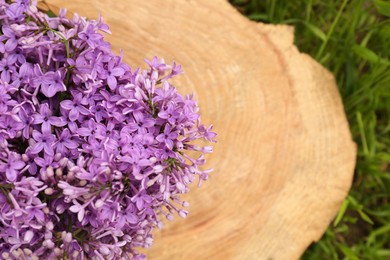 Beautiful lilac flowers on wooden stump, top view. Space for text