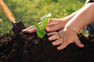 Photo of Mother and her child planting tree seedling into fertile soil, closeup
